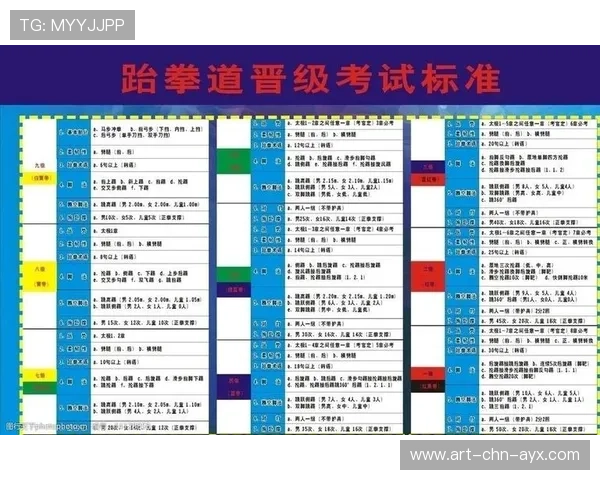 跆拳道联盟完善青少年等级考试的流程透明与监督，青少年跆拳道协会